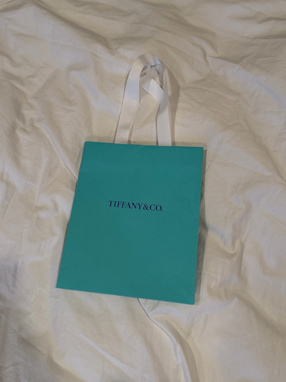Tiffany & Co. Robin's Egg Blue Ribbon Handle Tote